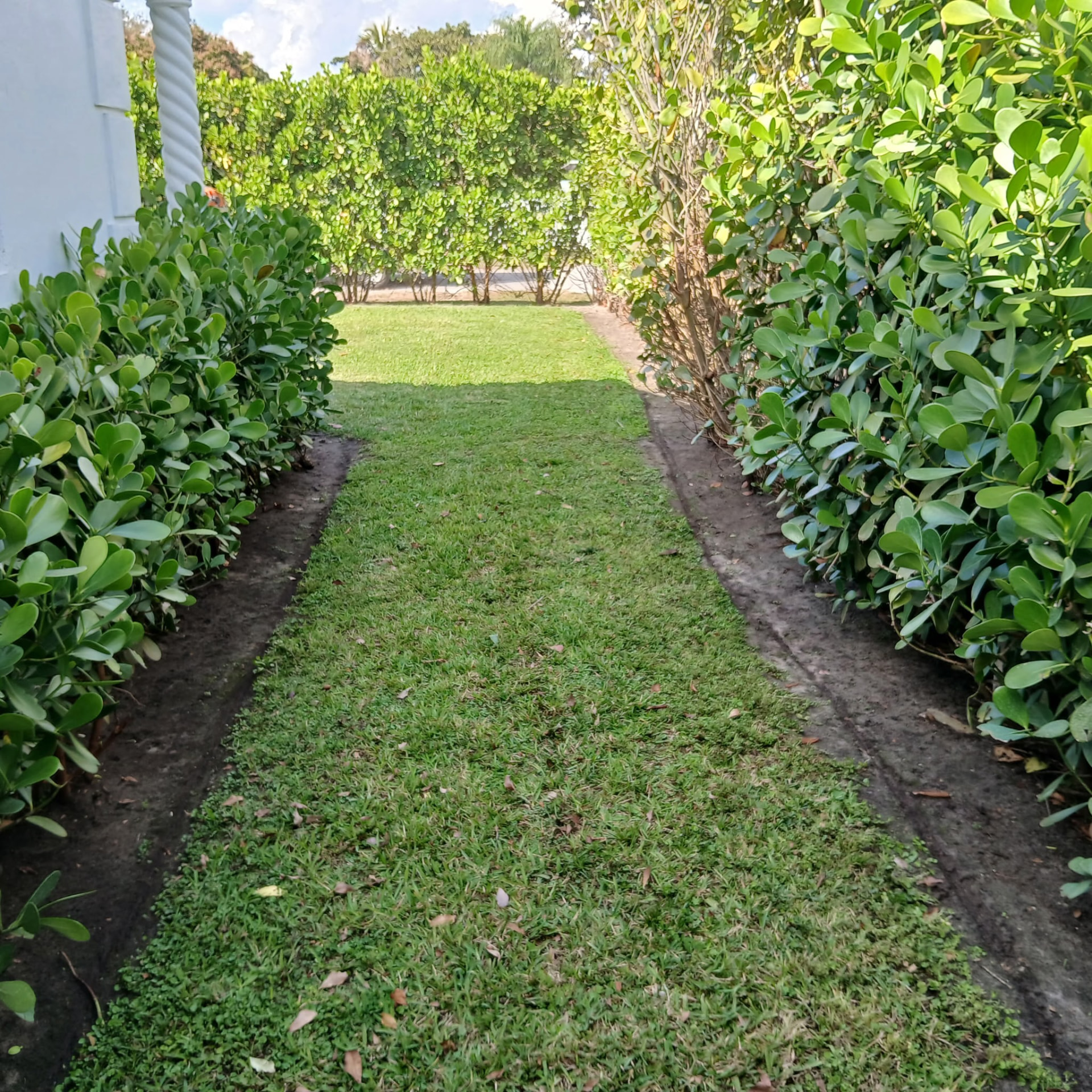 Clean edging along the path