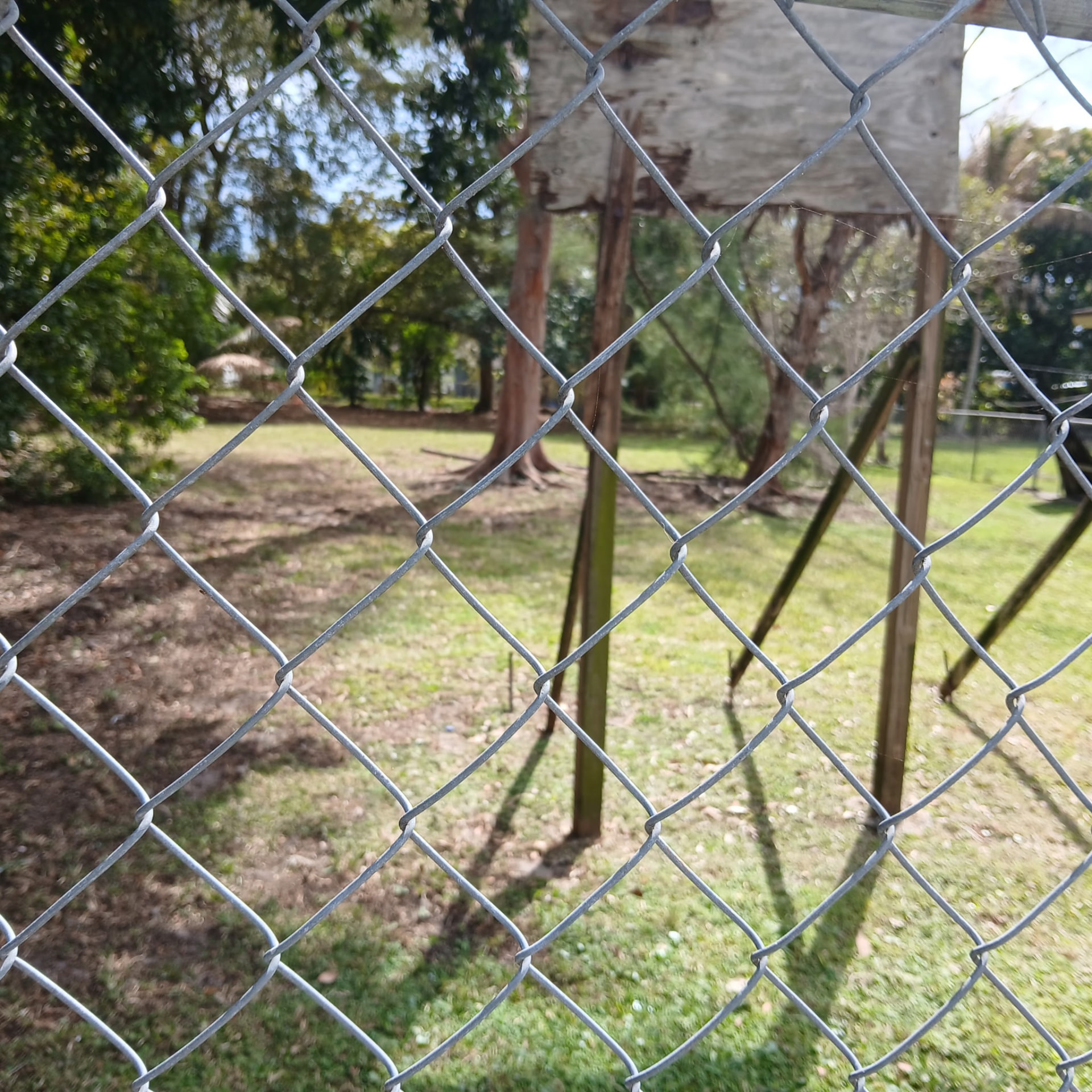 Yard and perimeter cleared