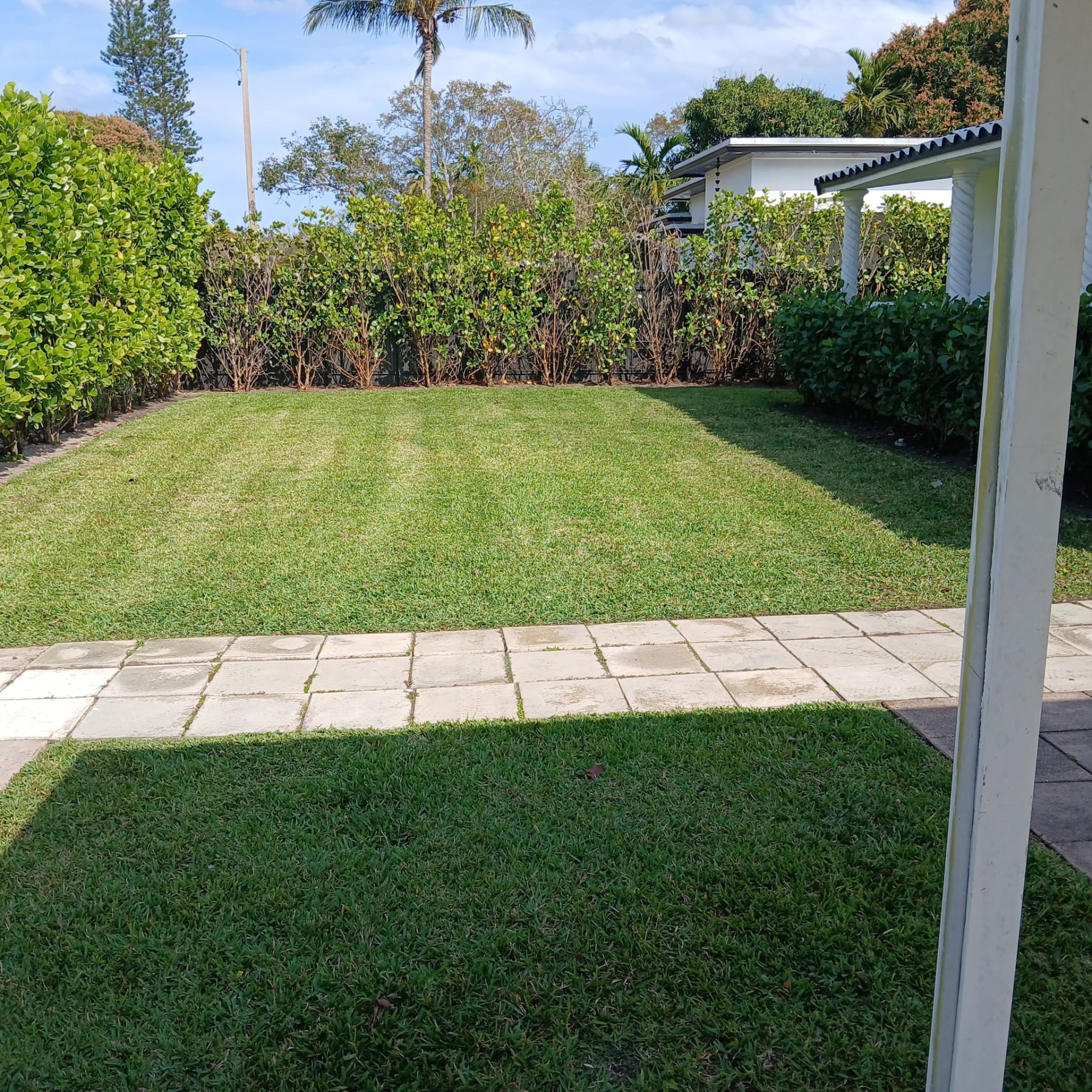 Freshly mowed backyard lawn with trimmed hedges in Miami Dade