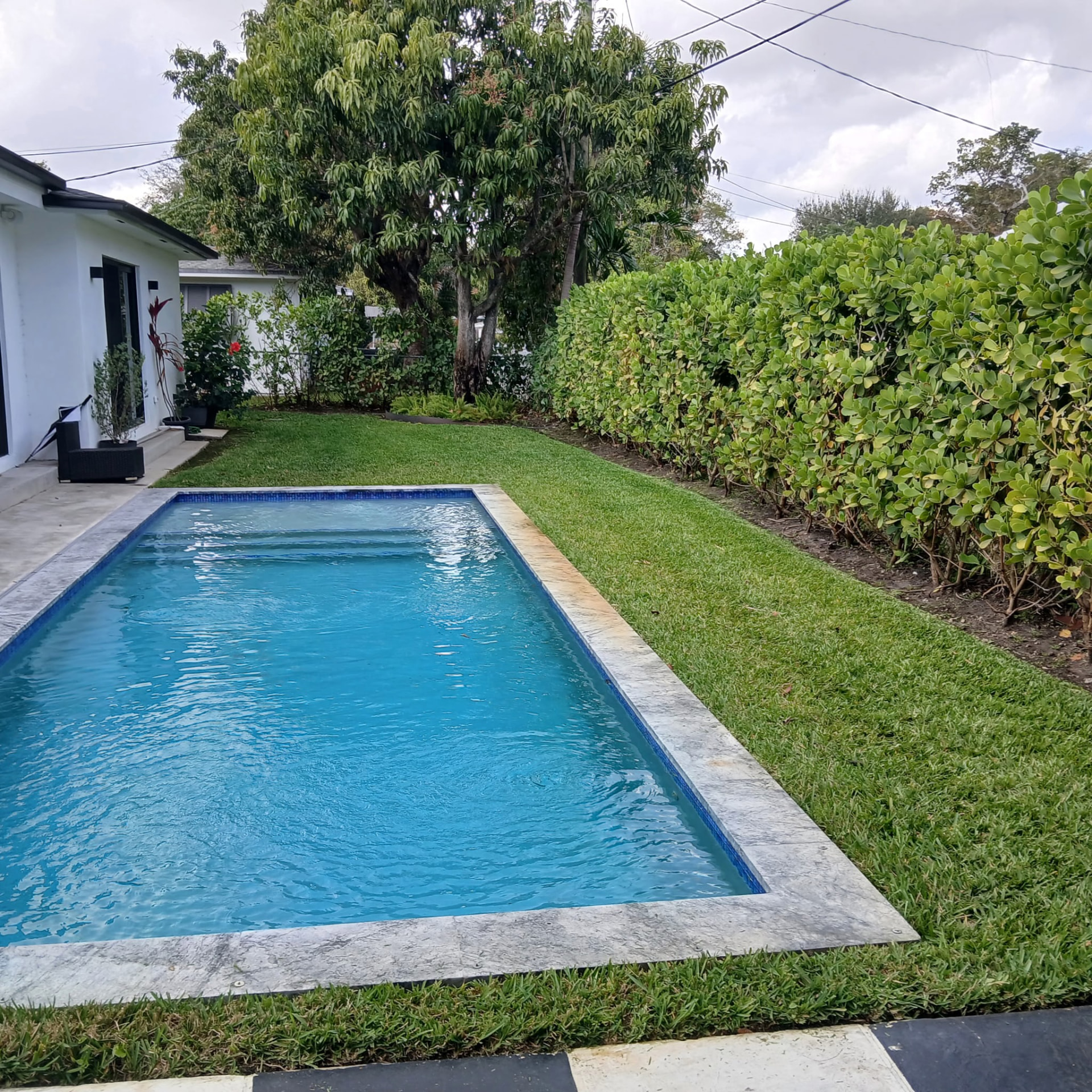 Backyard pool, lawn and hedge