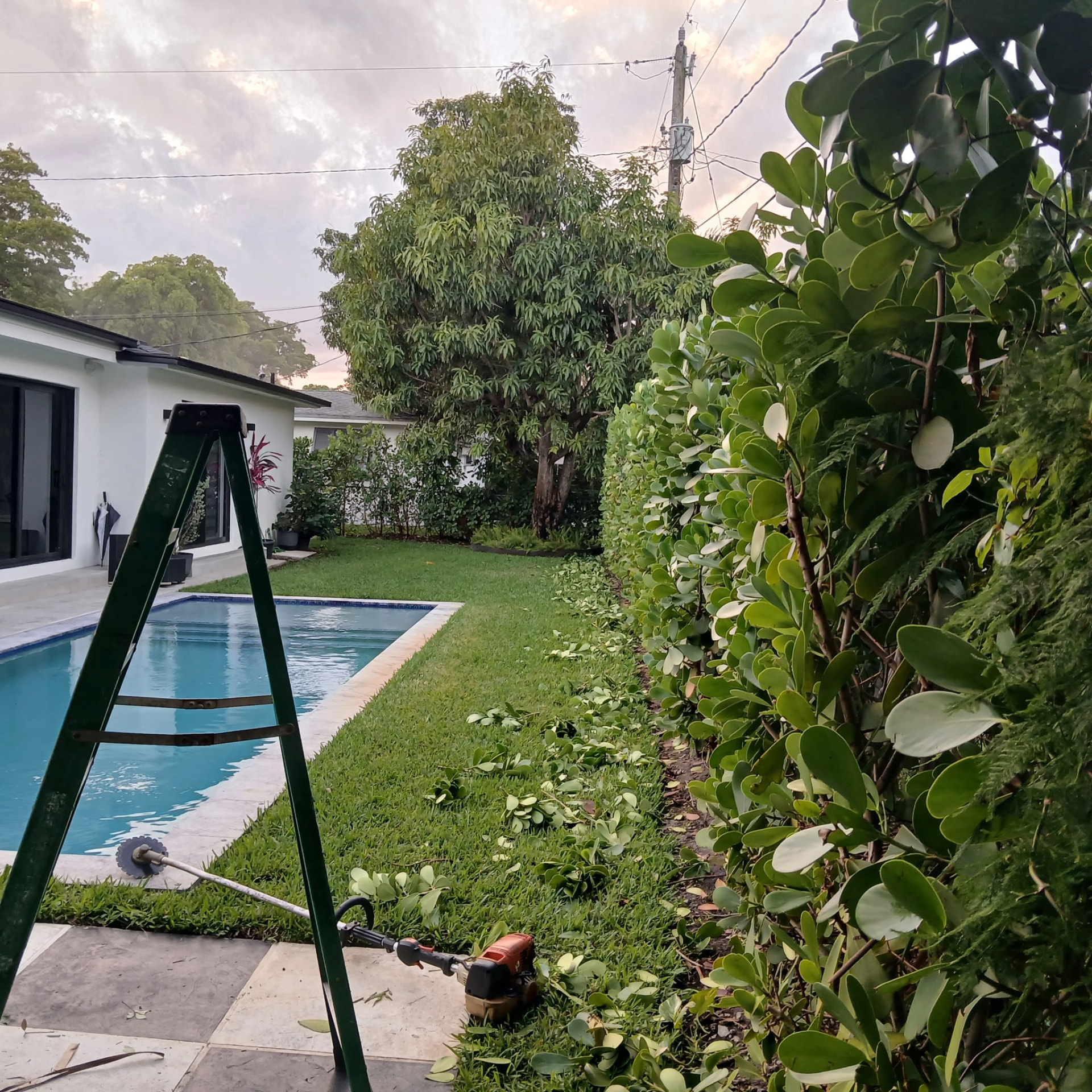 Poolside lawn and hedge work